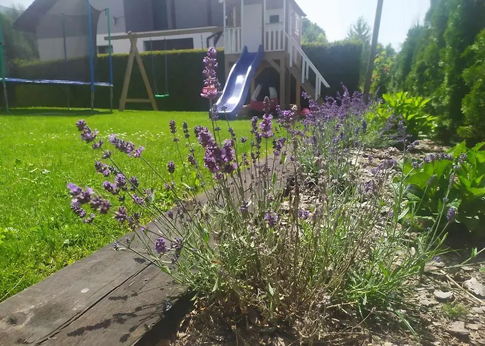 Zielony Apartament Bachowice